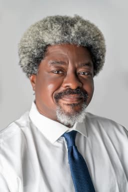 Eng. Yinka Adewuyi image